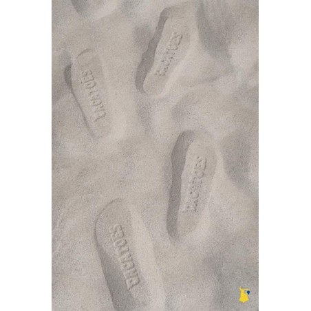 empreintes de sandales cacatoès dans le sable