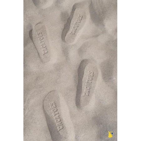 empreintes sandales cacatoès dans le sable